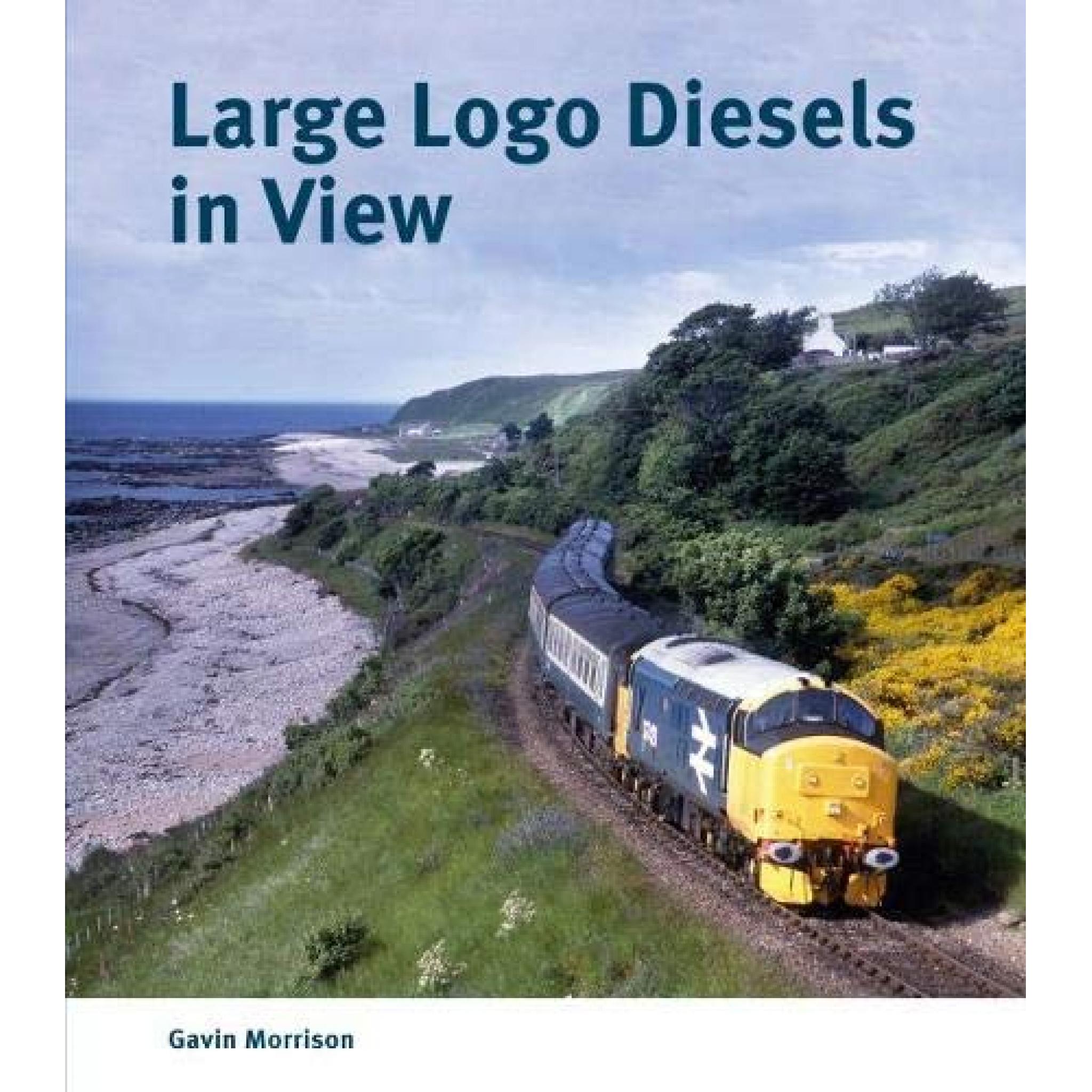 50% OFF RRP is £19.99 Large Logo Diesels in View